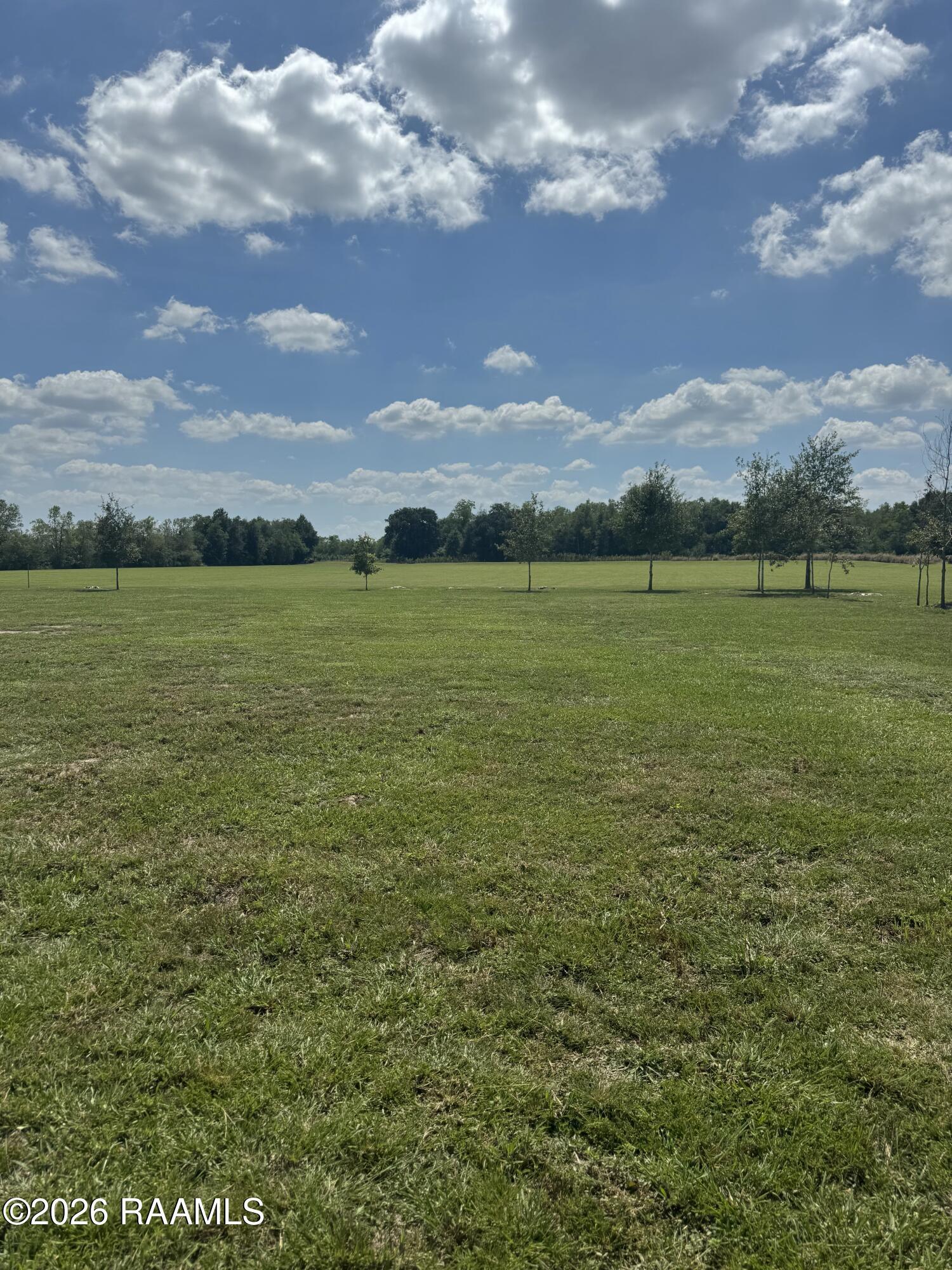 24913 Chestnut Road Kaplan, LA 70548 - Photo 2 of 14 IMG_2806