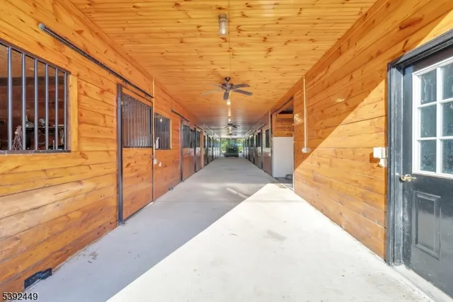 a view of a bunch of plants