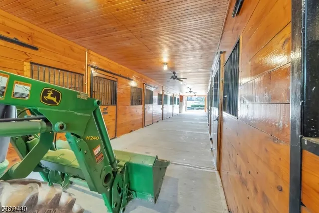 a view of a park with large trees