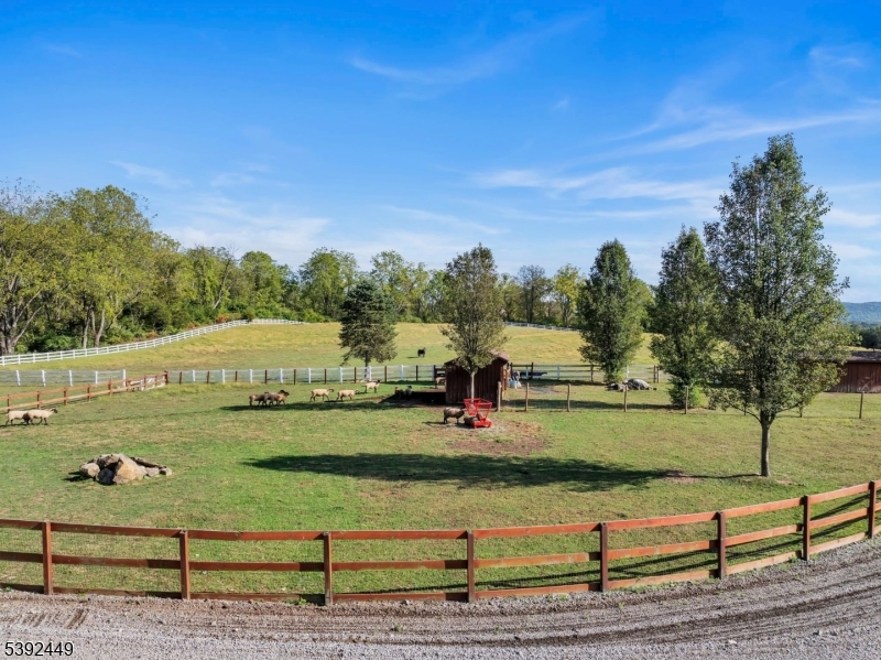 37 Pequest Road Andover, NJ 07821 - Photo 48 of 50 a view of a park with large trees