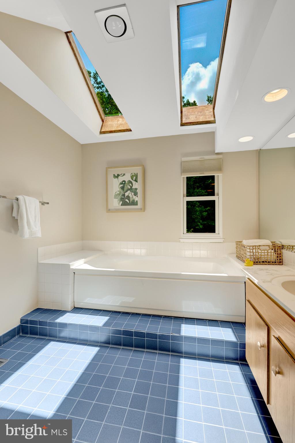 11064 Thrush Ridge Road Reston, VA 20191 - Photo 43 of 85 The primary bath has a separate tub and shower.
