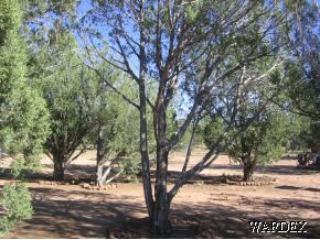 310 Sierra Verde Ranch Seligman, AZ 86337 - Photo 1 of 6 Primary Photo