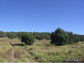 310 Sierra Verde Ranch Seligman, AZ 86337 - Photo 3 of 6 Additional Photo