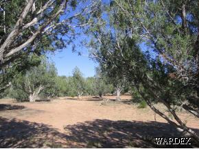 310 Sierra Verde Ranch Seligman, AZ 86337 - Photo 4 of 6 Additional Photo