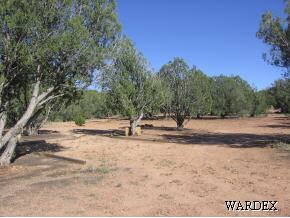 310 Sierra Verde Ranch Seligman, AZ 86337 - Photo 5 of 6 Additional Photo