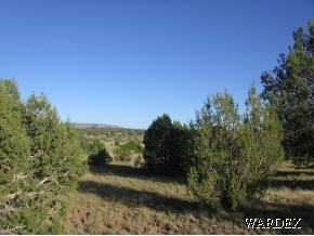 310 Sierra Verde Ranch Seligman, AZ 86337 - Photo 6 of 6 Additional Photo
