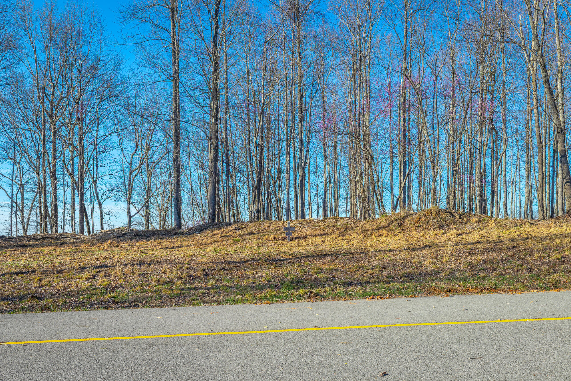 0 Cherokee Path, Unit JF269 Jasper, TN 37347 - Photo 22 of 94 0 Cherokee Path - JF269 HD-19
