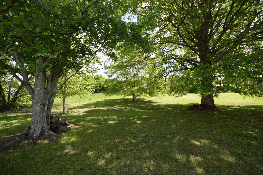 377 Old Eureka Road Charleston, TN 37310 - Photo 4 of 30 DSC_2345
