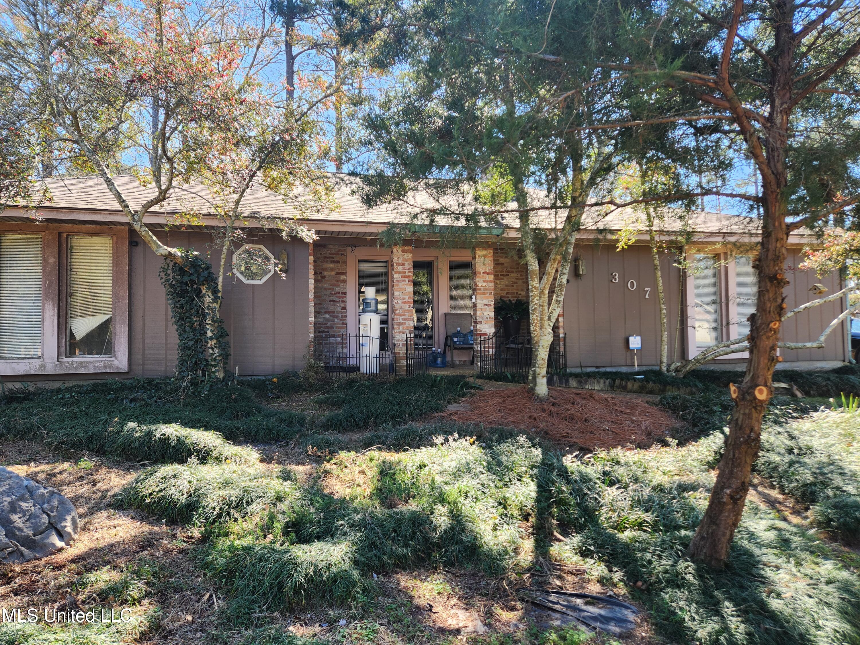 307 Lakeside Drive Brandon, MS 39047 - Photo 1 of 8 20260212_131749