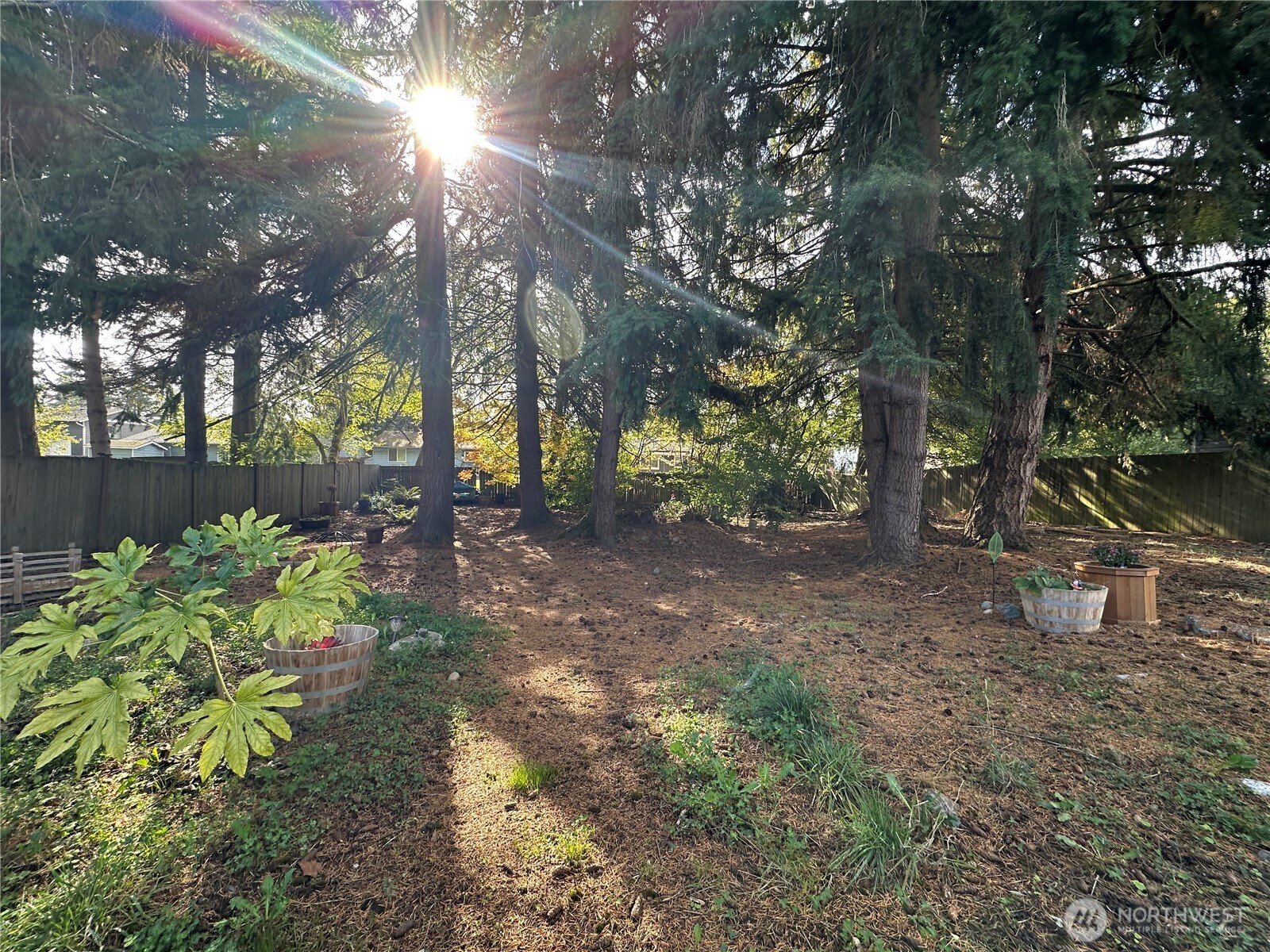 900 116th Street Southwest Everett, WA 98204 - Photo 17 of 40 a backyard of a house with lots of green space