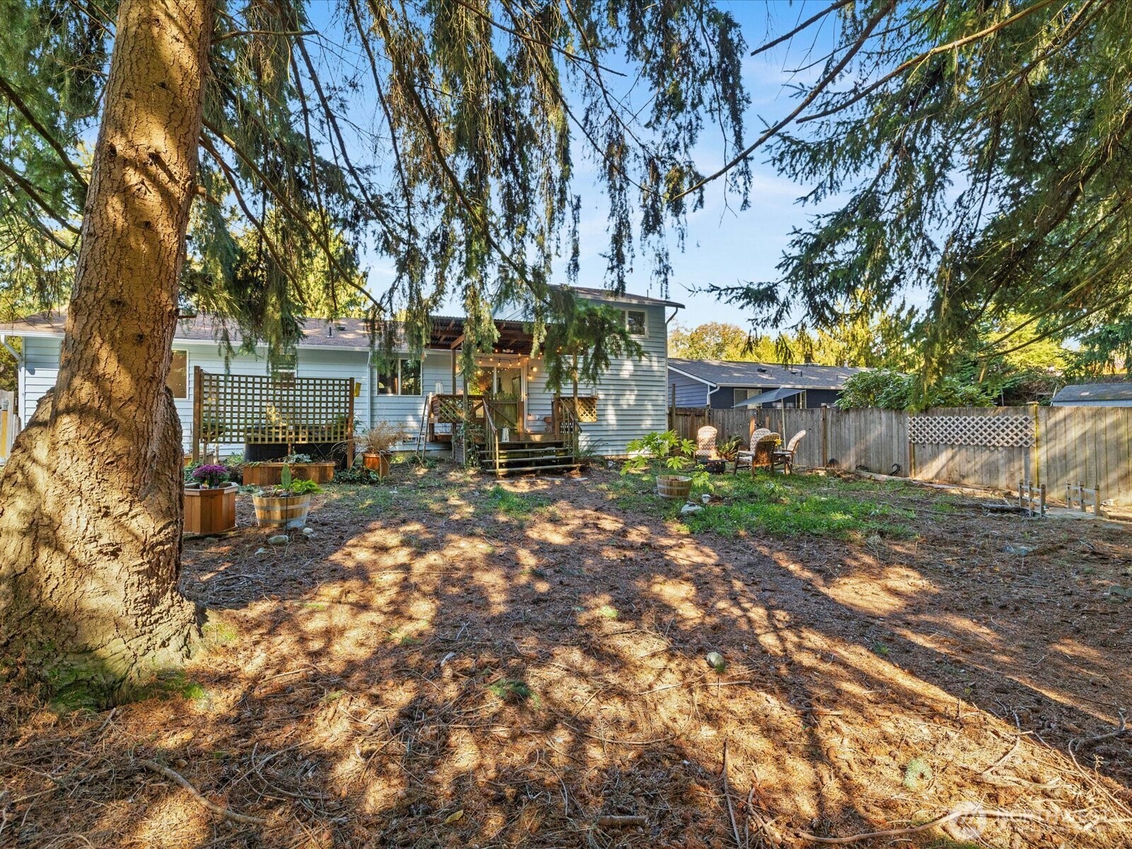 900 116th Street Southwest Everett, WA 98204 - Photo 34 of 40 a view of a park with large trees