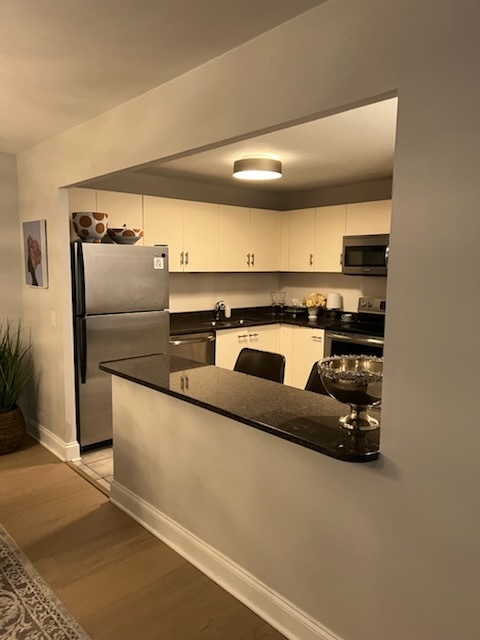 110 East Delaware Place, Unit 2003 Chicago, IL 60611 - Photo 4 of 13 a kitchen with stainless steel appliances granite countertop a refrigerator and a stove