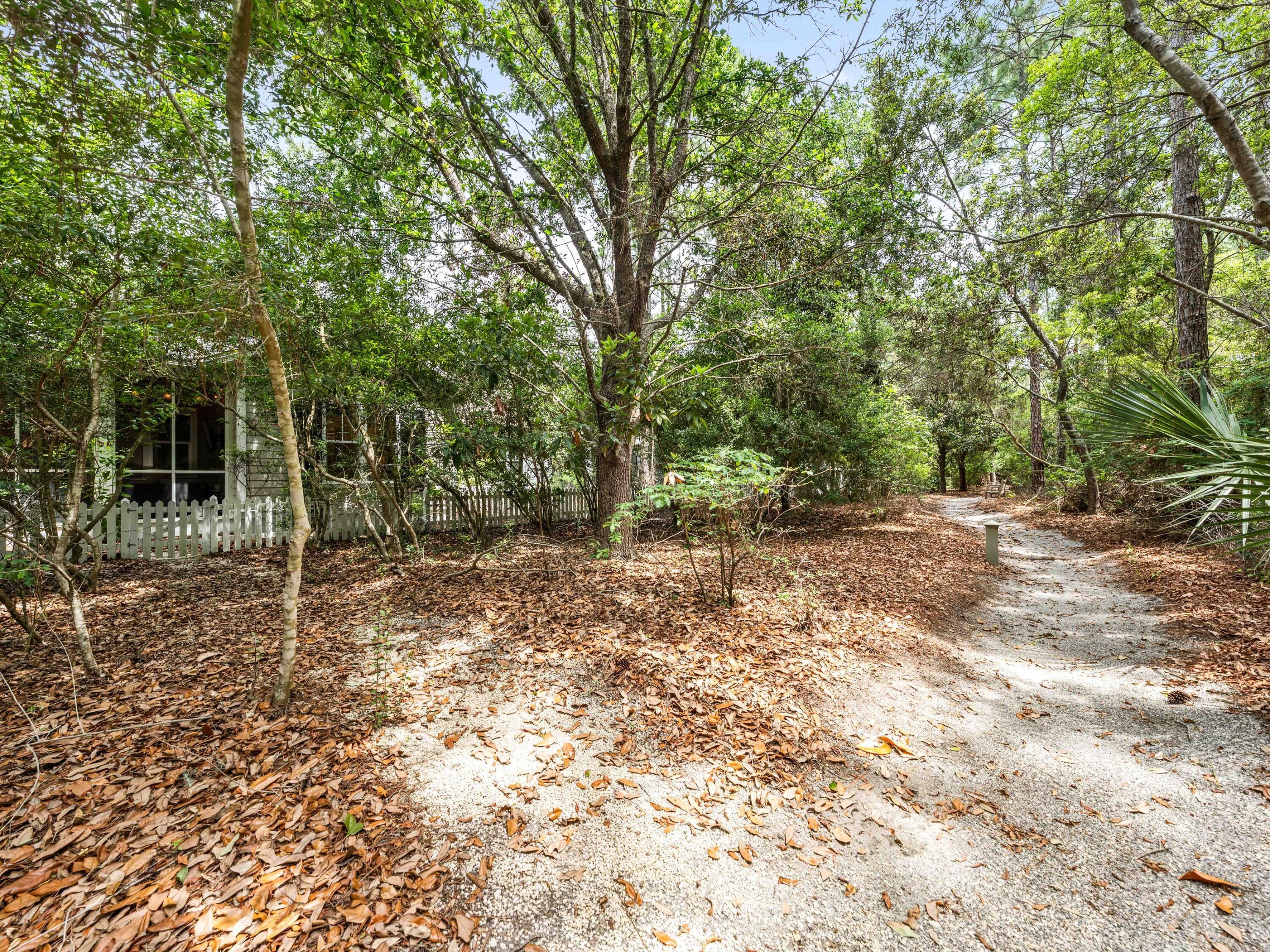 265 Artesian Way Watersound, FL 32461 - Photo 31 of 40 265 Artesian Way