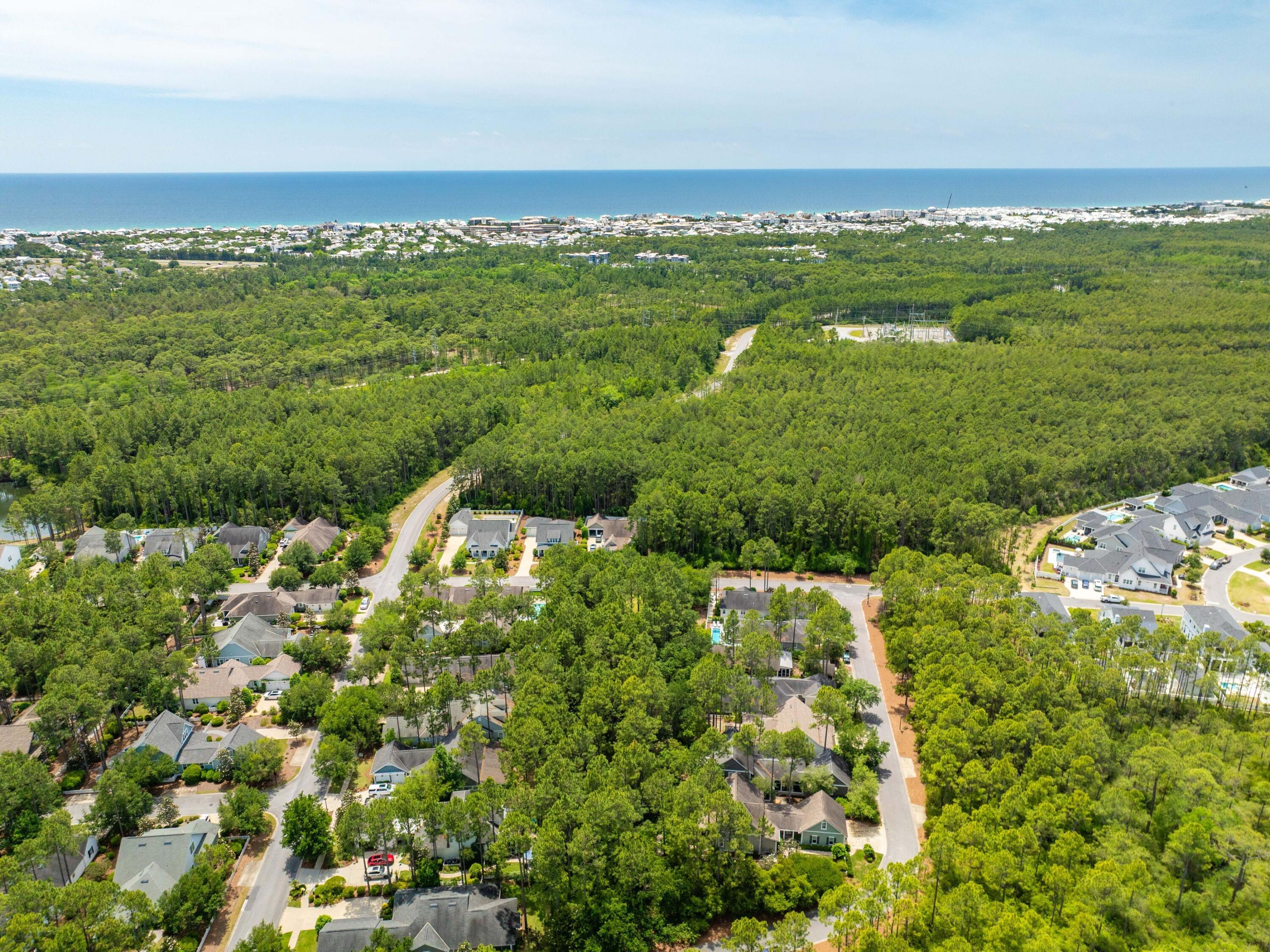 265 Artesian Way Watersound, FL 32461 - Photo 32 of 40 photo_online_032