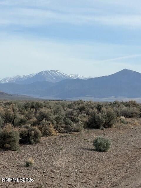 370 Ludwig Lane Smith Valley, NV 89430 - Photo 7 of 18 a view of a dry field