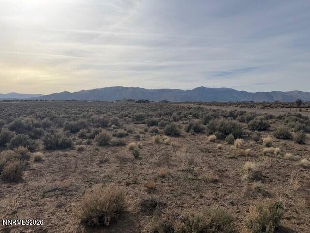 370 Ludwig Lane Smith Valley, NV 89430 - Photo 8 of 18 a view of mountains and valleys