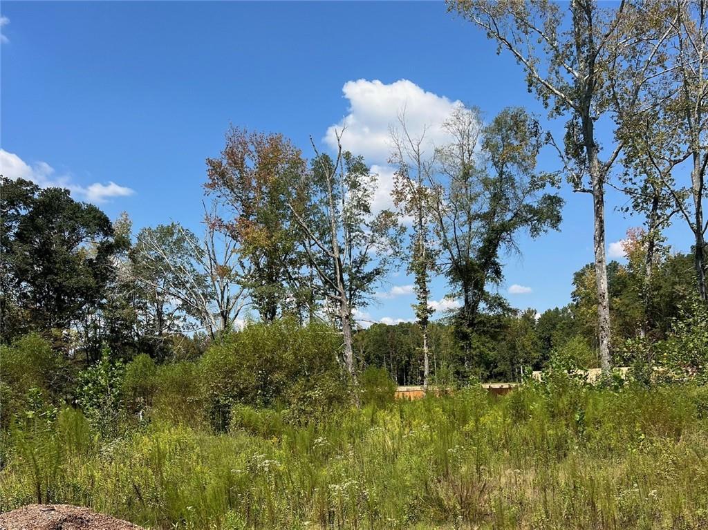 2960 Macland Road Marietta, GA 30064 - Photo 2 of 14 a view of a green field with lots of bushes