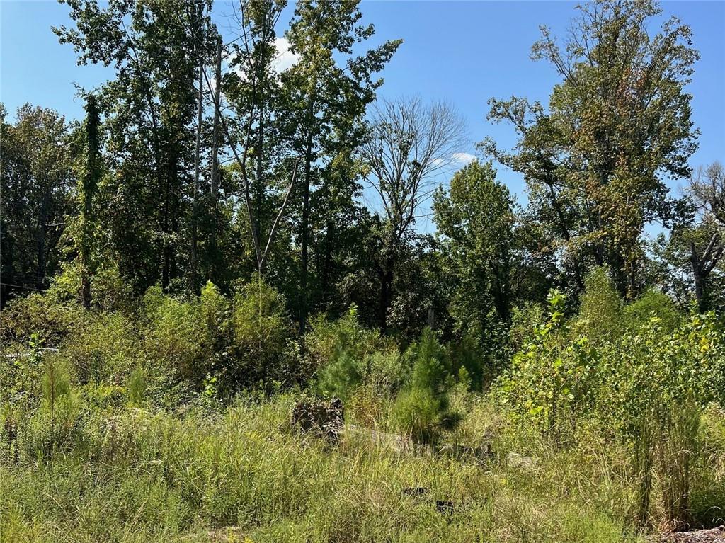 2960 Macland Road Marietta, GA 30064 - Photo 3 of 14 a view of a lush green forest