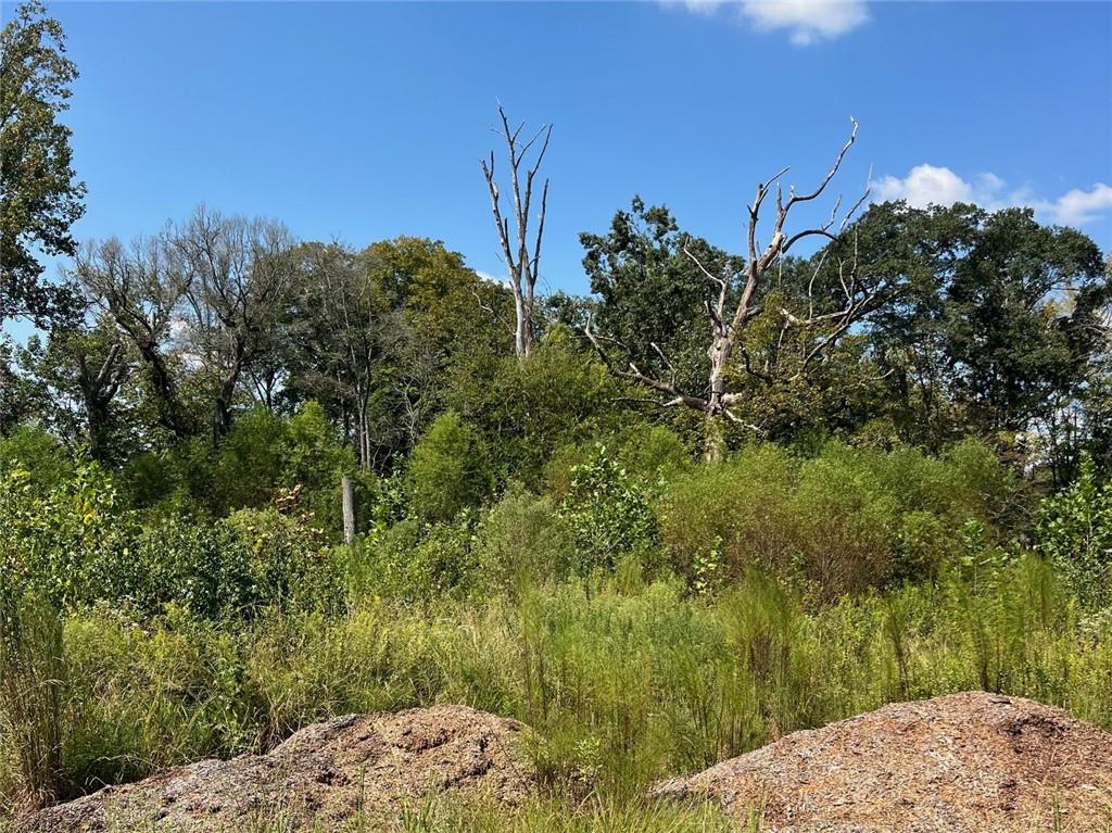 2960 Macland Road Marietta, GA 30064 - Photo 4 of 14 a view of a yard