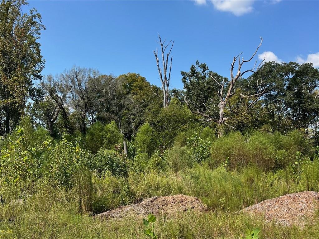 2960 Macland Road Marietta, GA 30064 - Photo 5 of 14 a view of a field of grass and trees