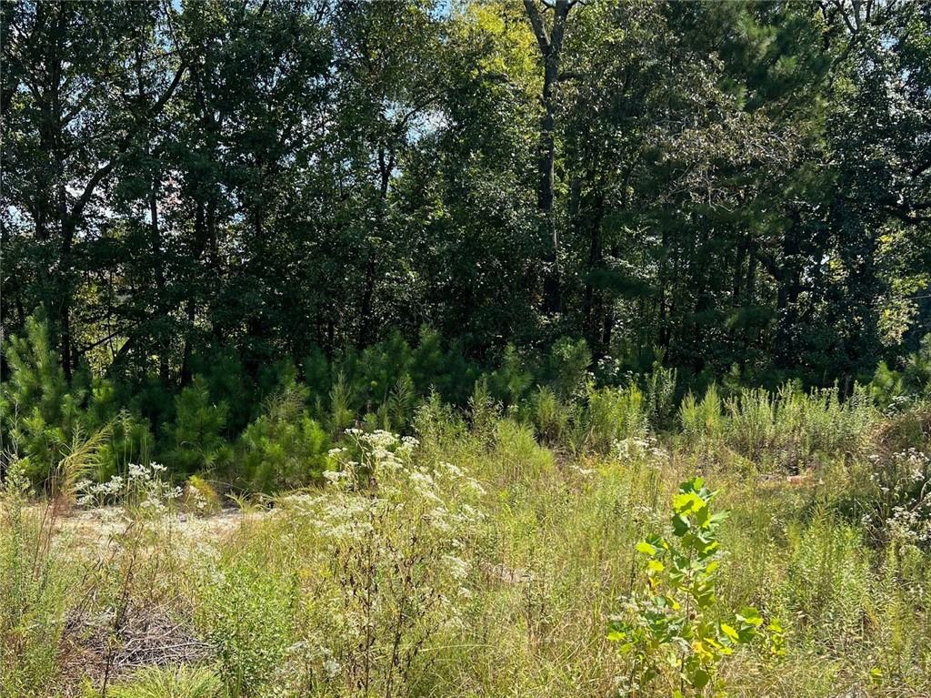 2960 Macland Road Marietta, GA 30064 - Photo 6 of 14 a view of a yard