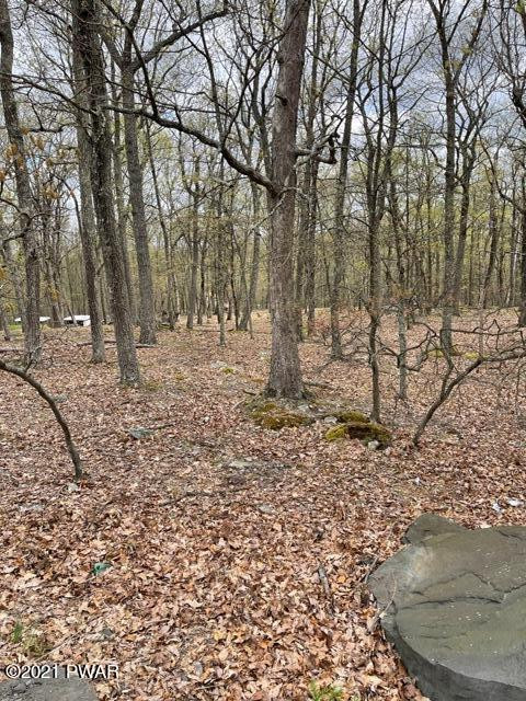 313 Mockingbird Court Bushkill, PA 18324 - Photo 2 of 9