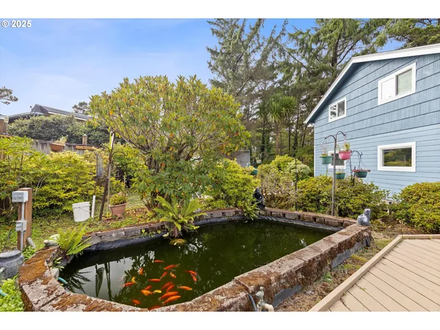 a view of a dry yard with trees