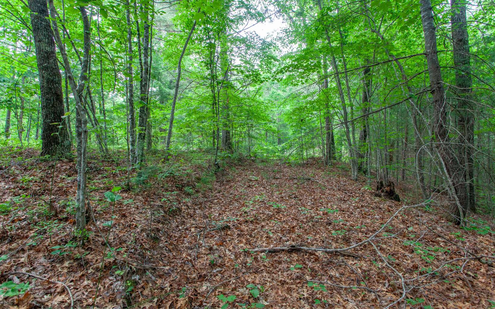 0 Mountain View Road Murphy, NC 28906 - Photo 17 of 22 Additional View