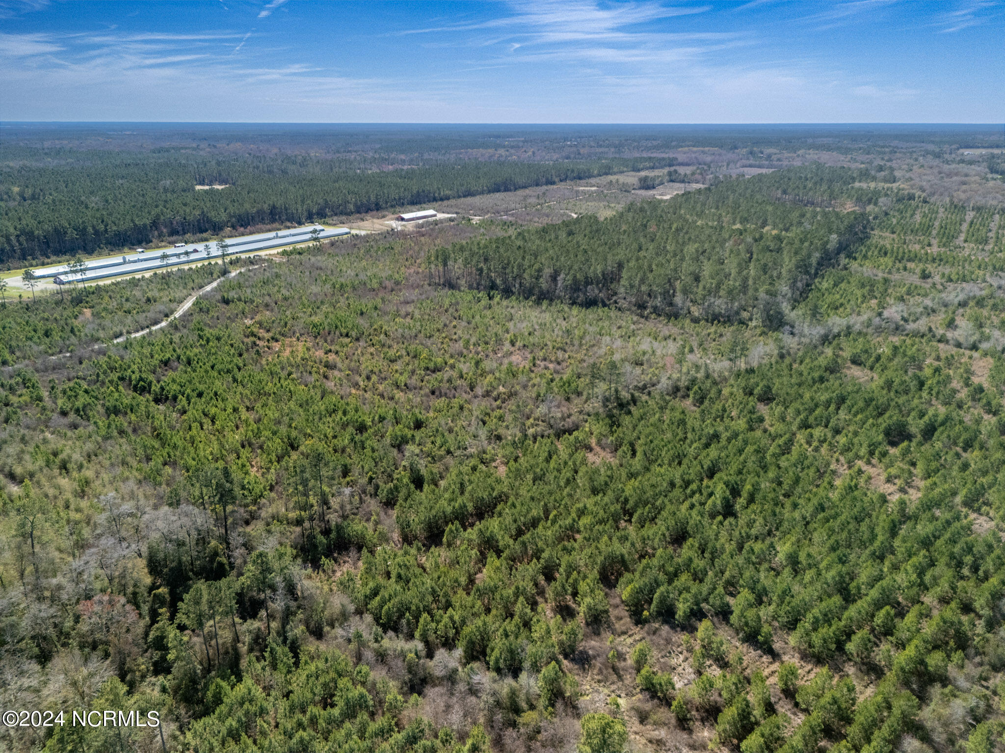 137.18-ac Ivanhoe Road Harrells, NC 28444 - Photo 19 of 21 Ivanhoe Rd 15