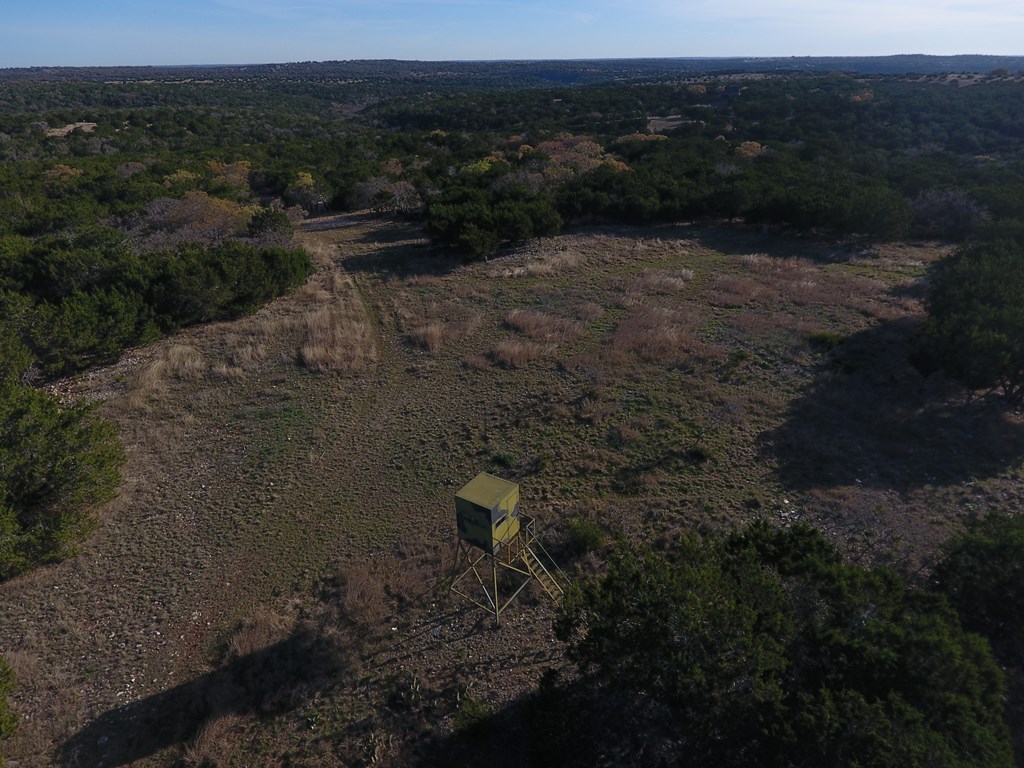 475 River Bend Road West Hunt, TX 78024 - Photo 11 of 80 Abundant Wildlife