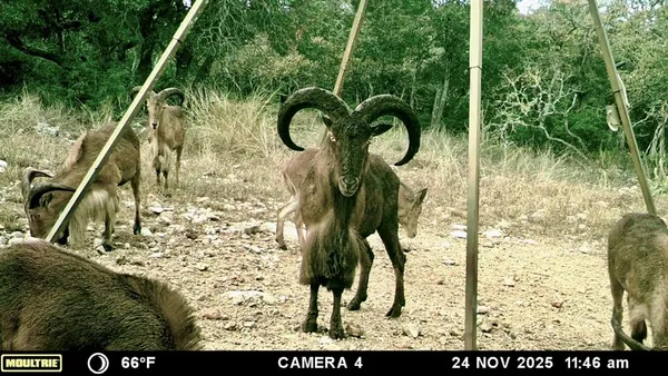 $1,275,000 | 475 River Bend Road West, Hunt, TX 78024