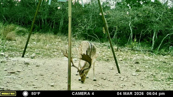 $1,275,000 | 475 River Bend Road West, Hunt, TX 78024