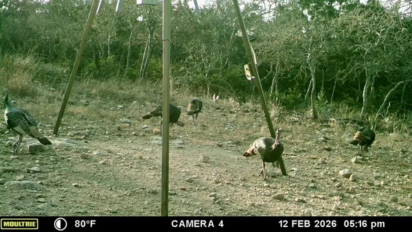 $1,275,000 | 475 River Bend Road West, Hunt, TX 78024