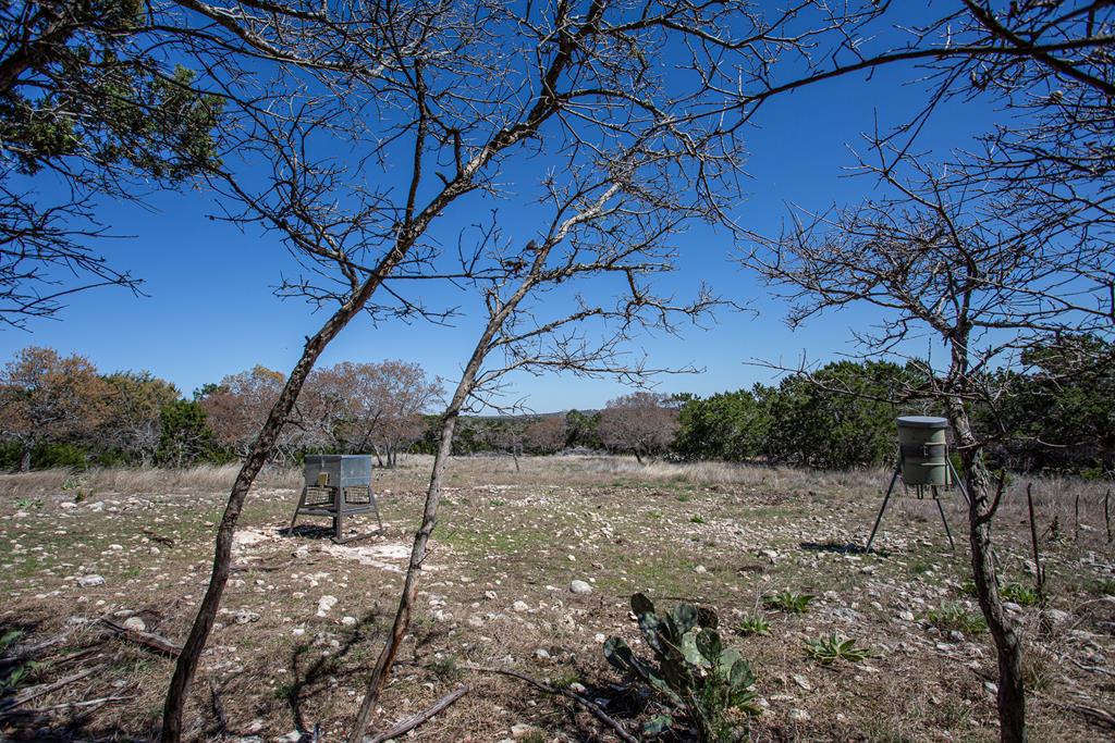 475 River Bend Road West Hunt, TX 78024 - Photo 49 of 87 a view of a backyard with large trees