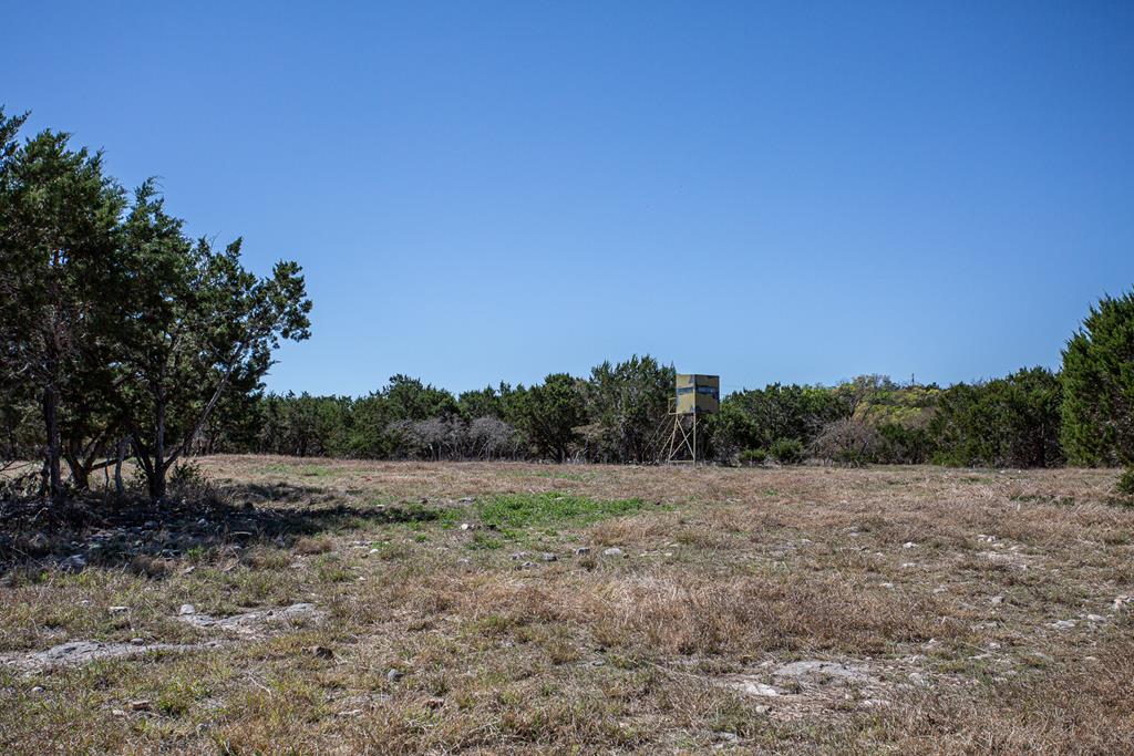 475 River Bend Road West Hunt, TX 78024 - Photo 53 of 87 a view of a field with trees in background