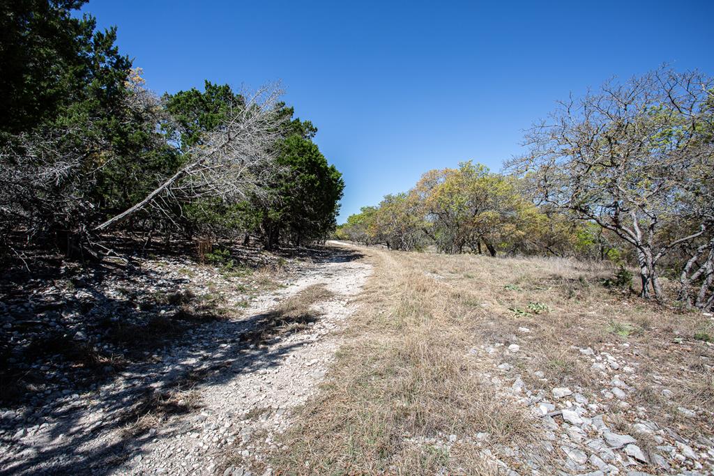 475 River Bend Road West Hunt, TX 78024 - Photo 57 of 87 a view of a yard with plants and a tree