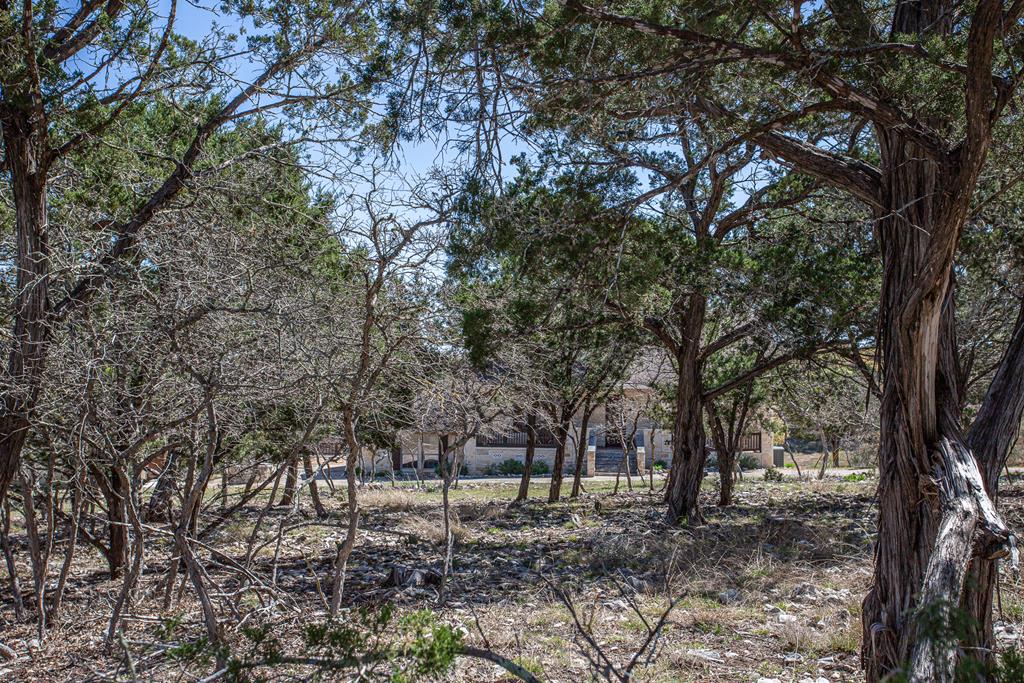 475 River Bend Road West Hunt, TX 78024 - Photo 58 of 87 a view of a forest filled with trees