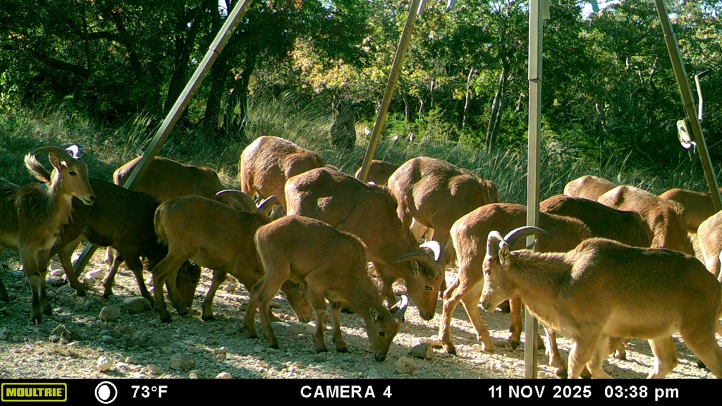 475 River Bend Road West Hunt, TX 78024 - Photo 8 of 80