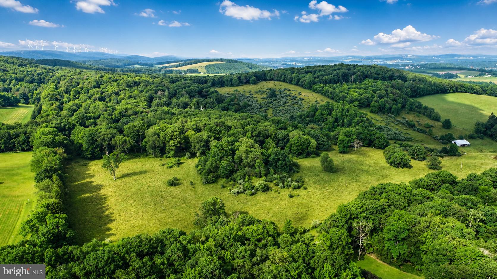 97-acres Lot C 97-acres Road Oakland, MD 21550 - Photo 8 of 21