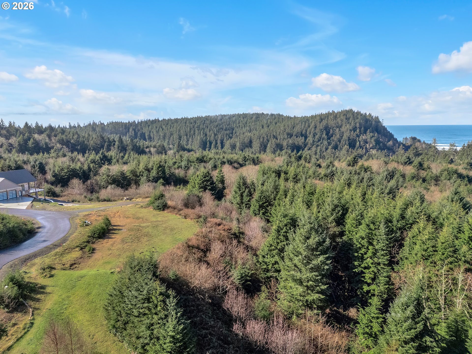 3038 Ocean View Court Ilwaco, WA 98624 - Photo 6 of 16 a view of a bunch of trees and bushes