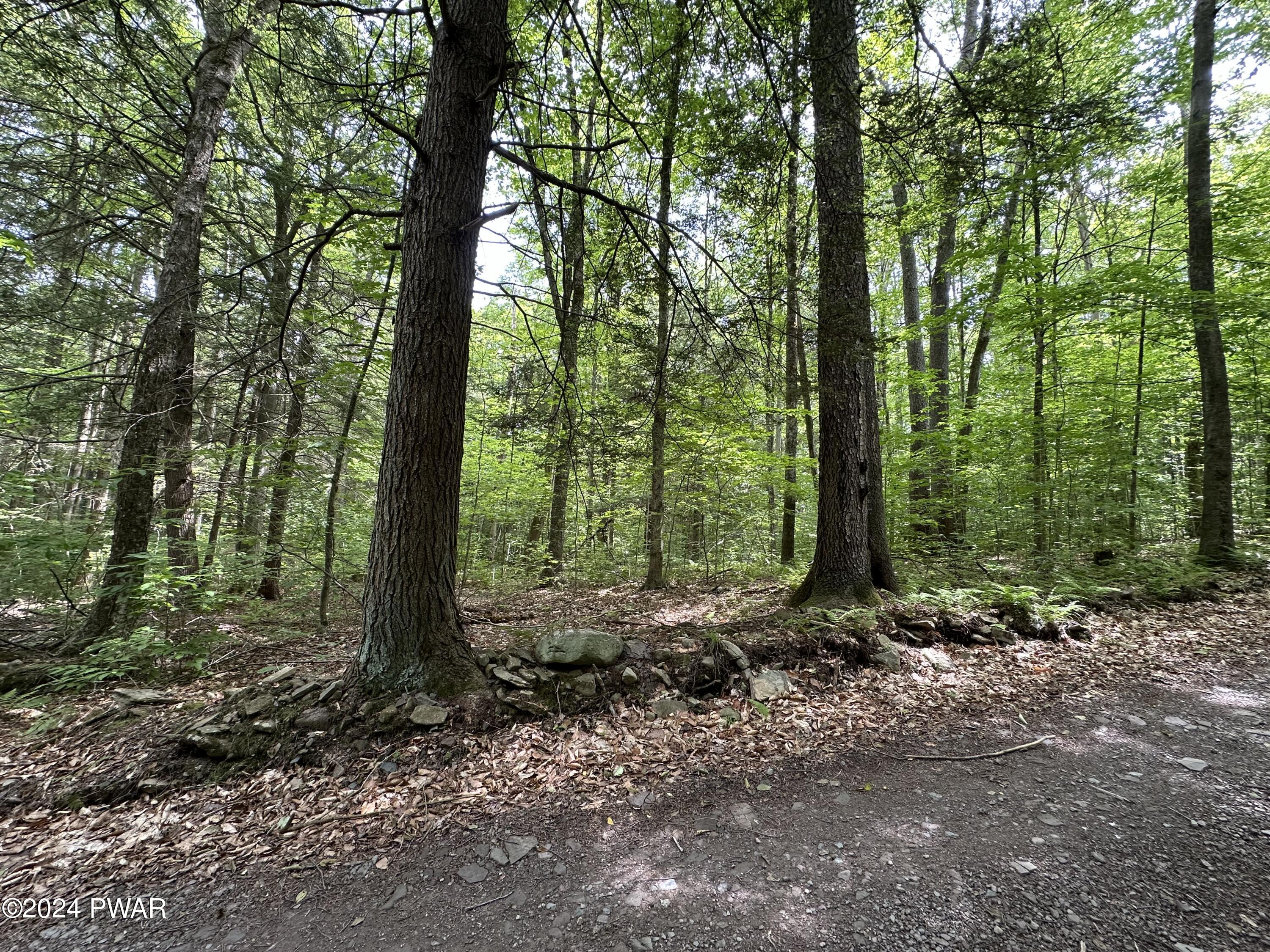 Minkler Mountain Road Damascus, PA 18415 - Photo 6 of 8