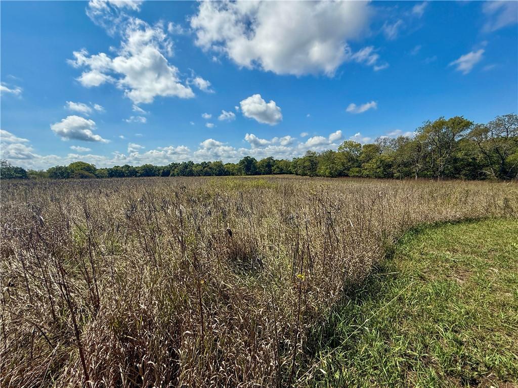 Lot 2 New Lancaster Road Lacygne, KS 66040 - Photo 11 of 12