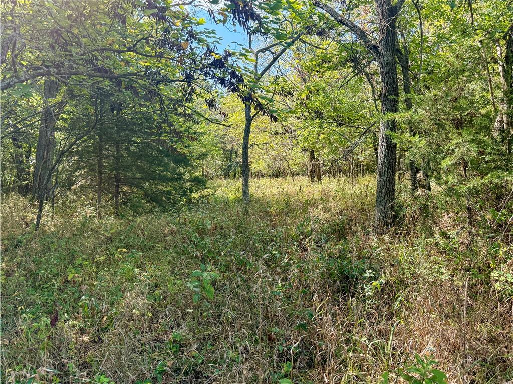 Lot 2 New Lancaster Road Lacygne, KS 66040 - Photo 12 of 12