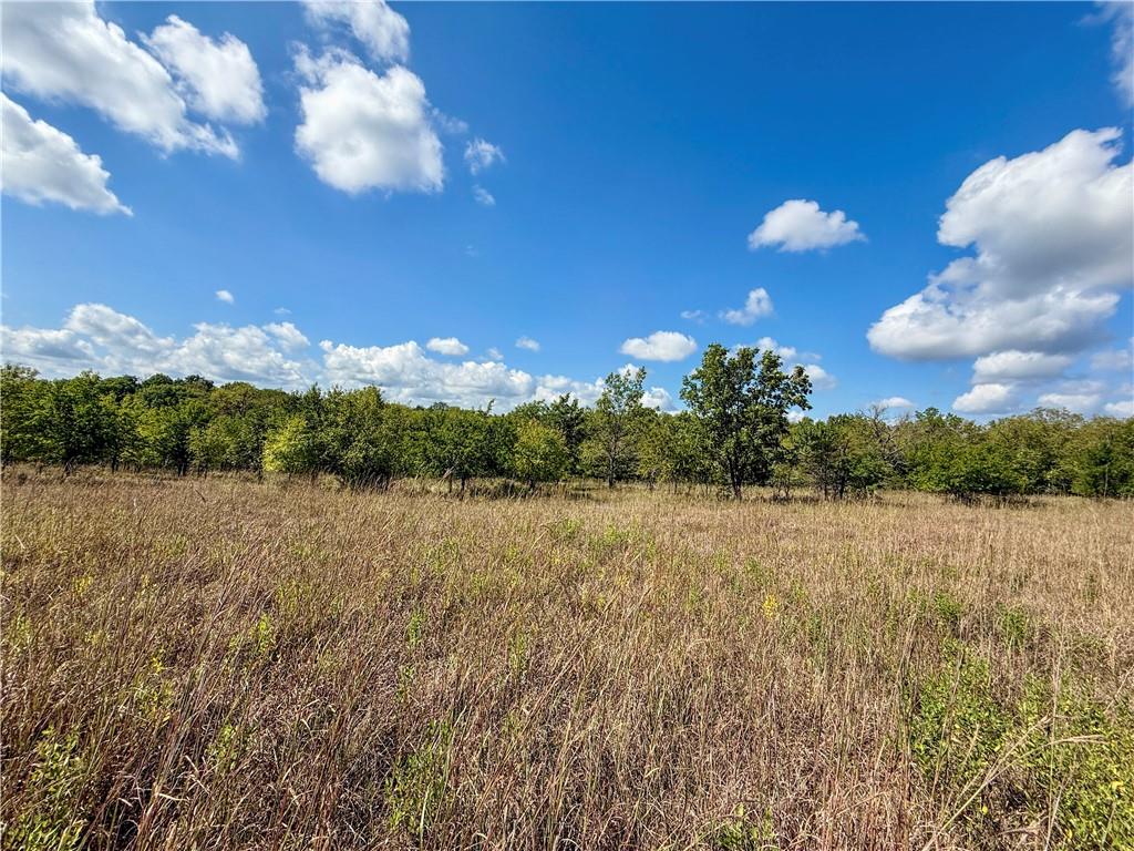 Lot 2 New Lancaster Road Lacygne, KS 66040 - Photo 6 of 12