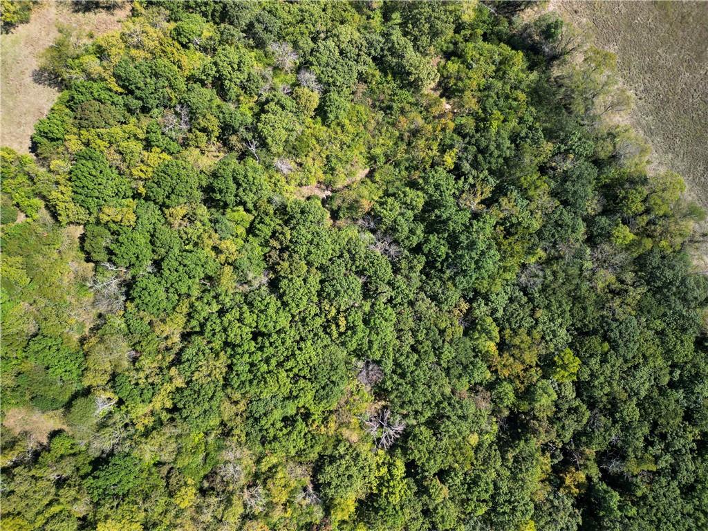 Lot 2 New Lancaster Road Lacygne, KS 66040 - Photo 7 of 12