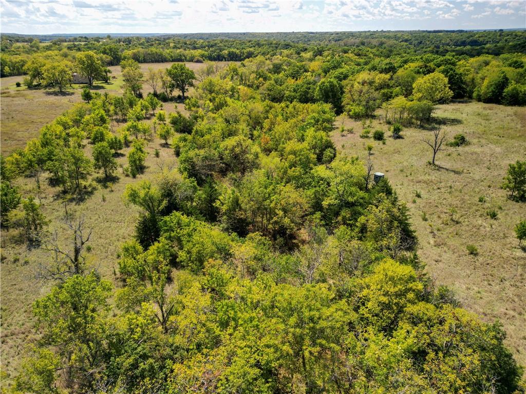 Lot 2 New Lancaster Road Lacygne, KS 66040 - Photo 8 of 12