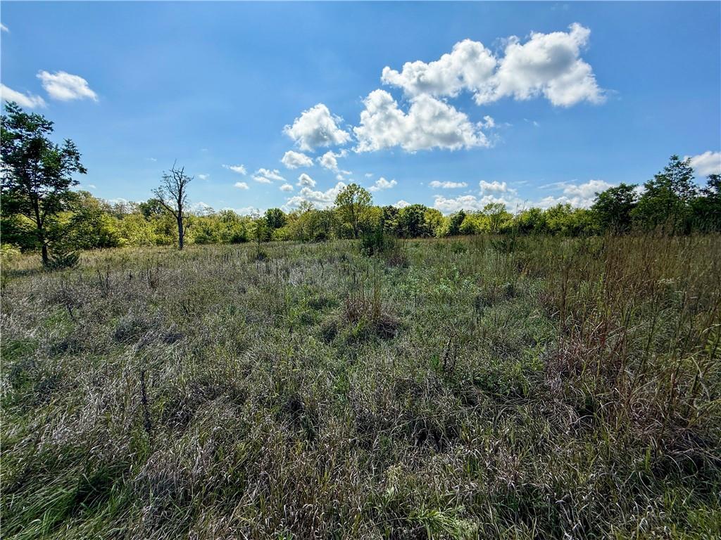 Lot 2 New Lancaster Road Lacygne, KS 66040 - Photo 9 of 12