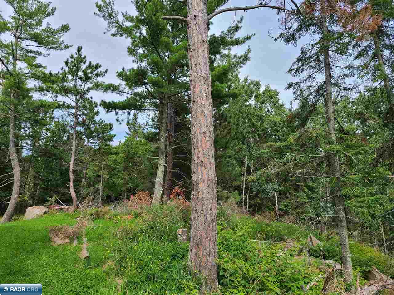 2074 Town Road International Falls, MN 56649 - Photo 7 of 14