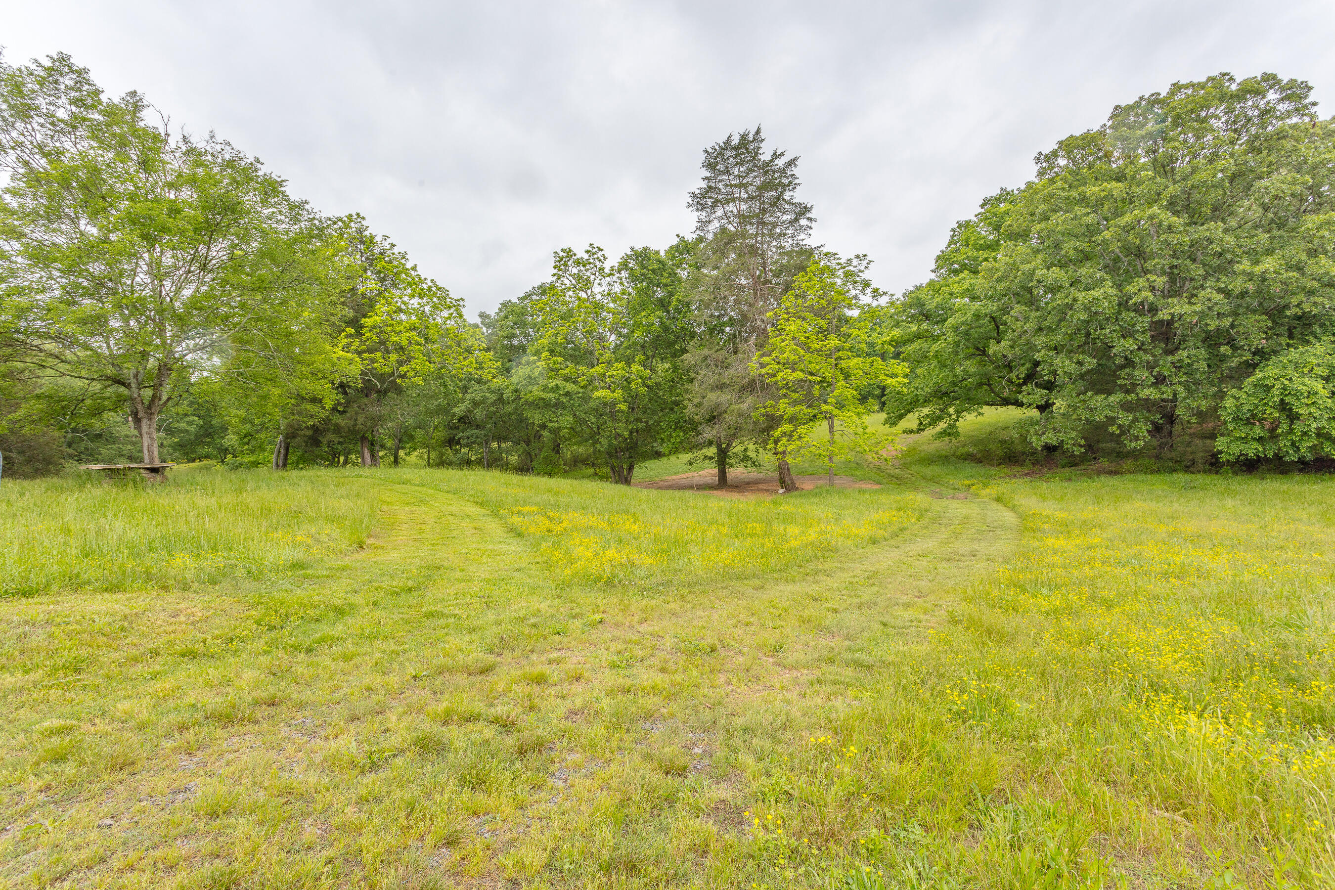 1854 Kensington Road Chickamauga, GA 30707 - Photo 105 of 119 1854 Kensington HD-37