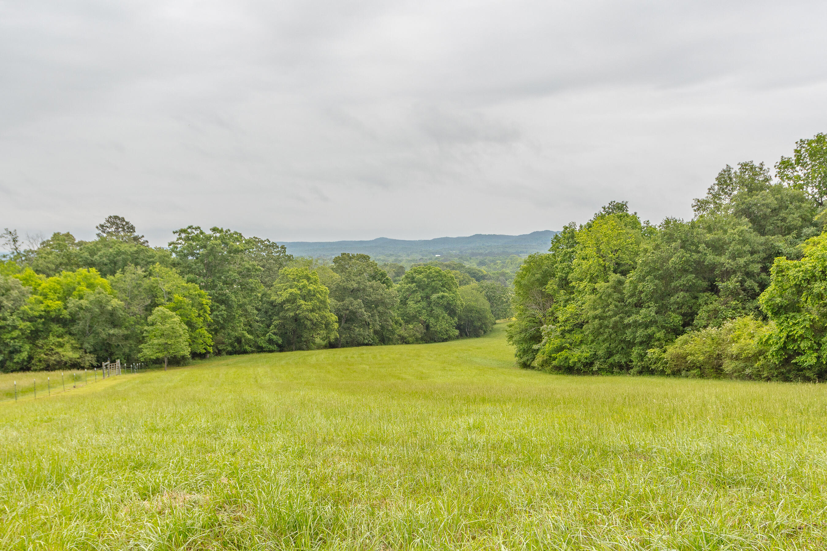 1854 Kensington Road Chickamauga, GA 30707 - Photo 107 of 119 1854 Kensington HD-41